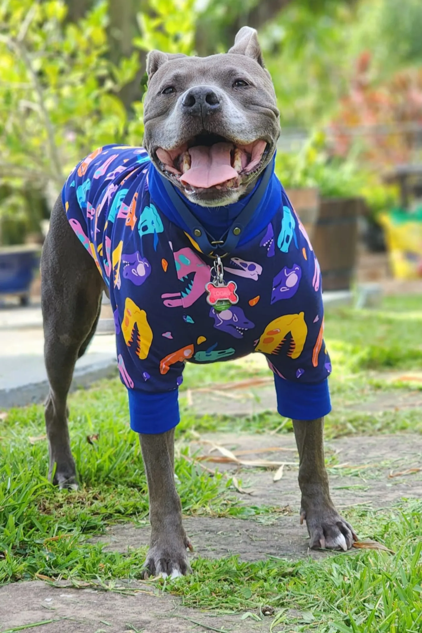 Colorful Dino Skulls Dog Pajamas